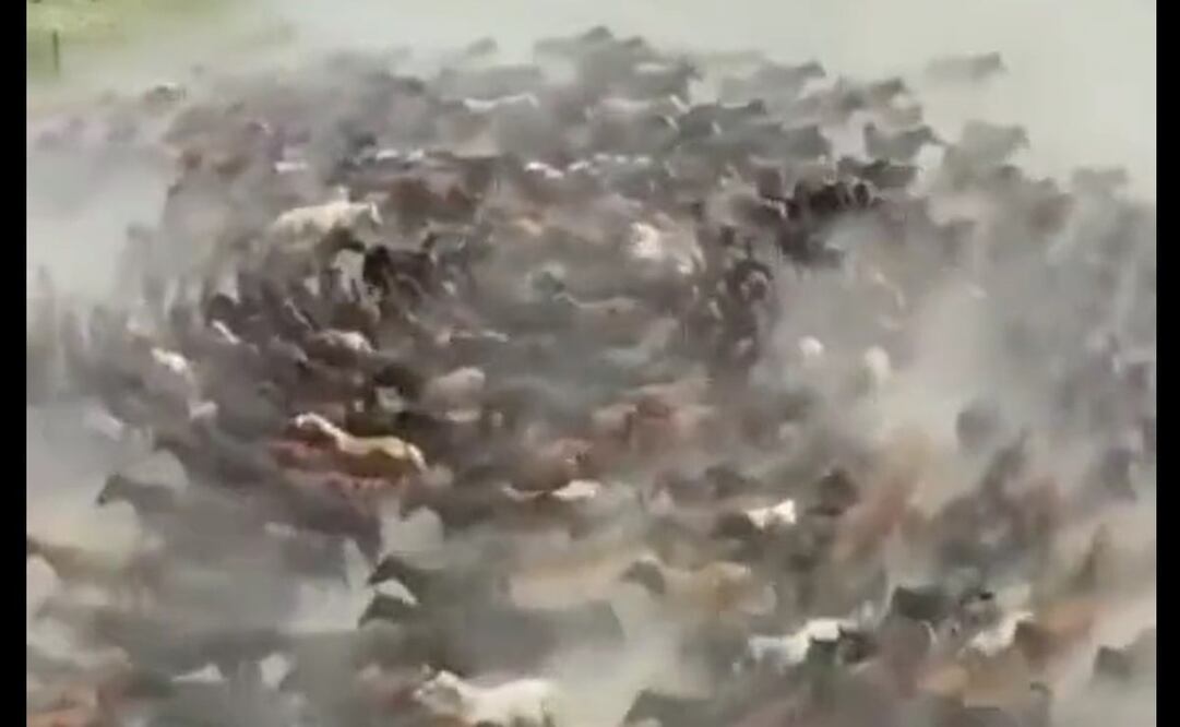 Foto: tomada de Twitter. @marthamarco_