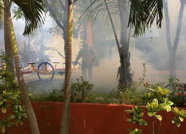 Reportan 37 mujeres embarazadas con zika en SLP