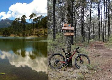 Lánzate al parque ecoturístico Valle Alegre en medio del bosque