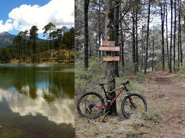 Lánzate al parque ecoturístico Valle Alegre en medio del bosque