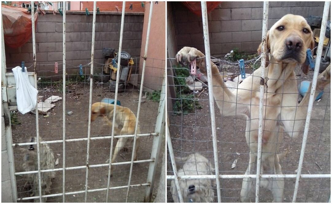 Emilio Fernández / EL UNIVERSAL