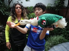 Pato Merlín: Gobierno de México reconoce oficialmente a la familia propietaria de la marca