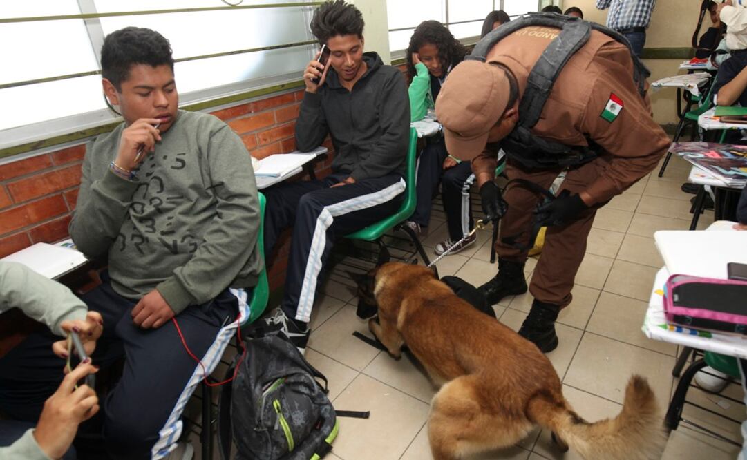 El operativo se realizó con el apoyo de binomios caninos. (Foto: Jorge Alvarado / El UNIVERSAL)