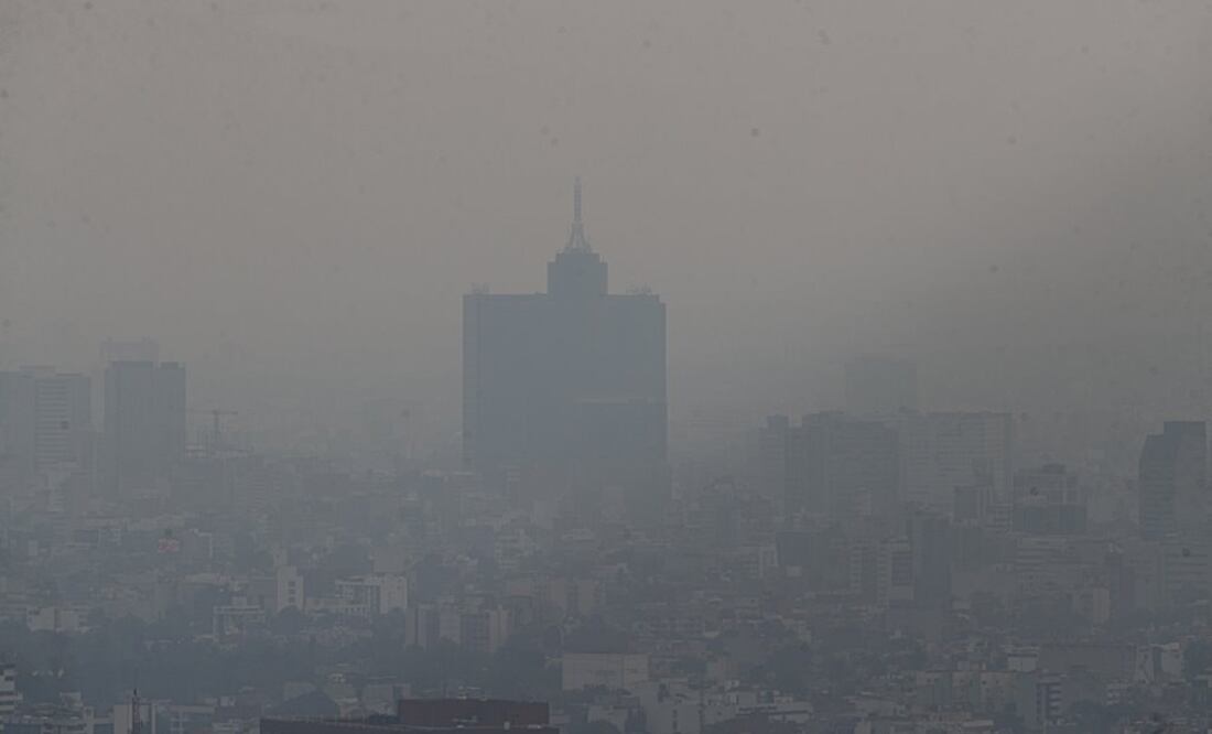 Foto: Diego Simón Sánchez / EL UNIVERSAL