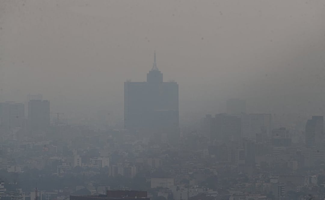 Foto: Diego Simón Sánchez / EL UNIVERSAL