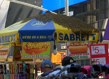 Enjambre de abejas conmociona en Times Square
