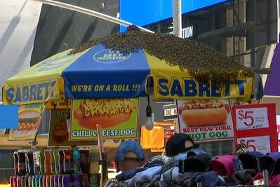 Enjambre de abejas conmociona en Times Square