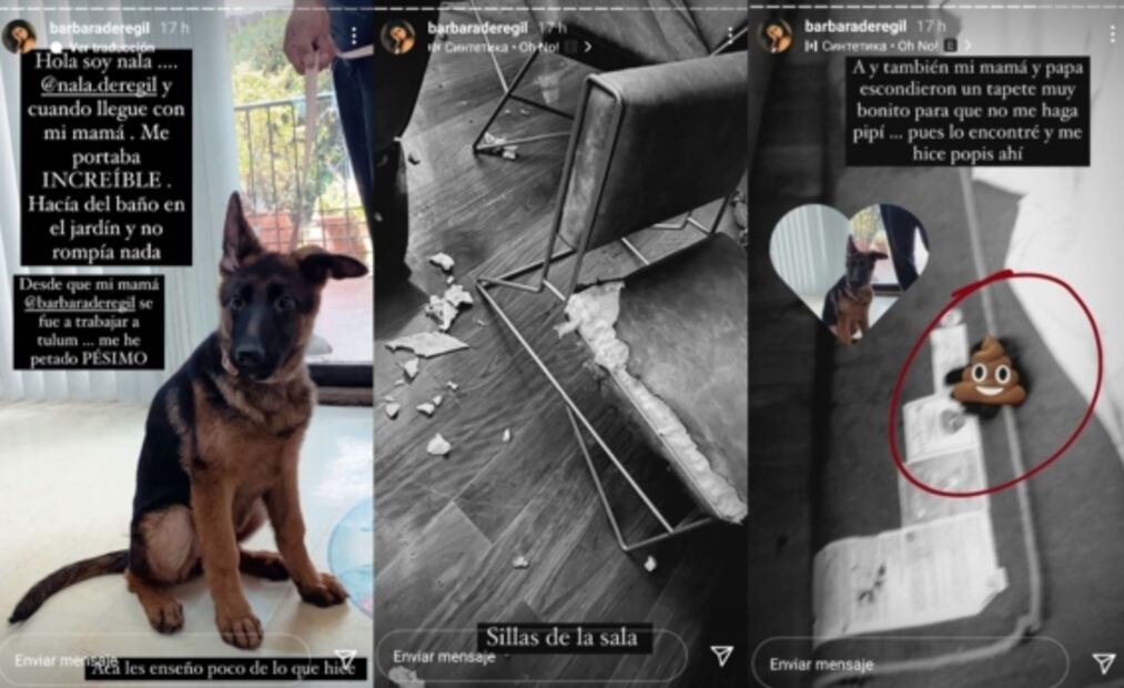 Paulina Goto se muere, según su novio