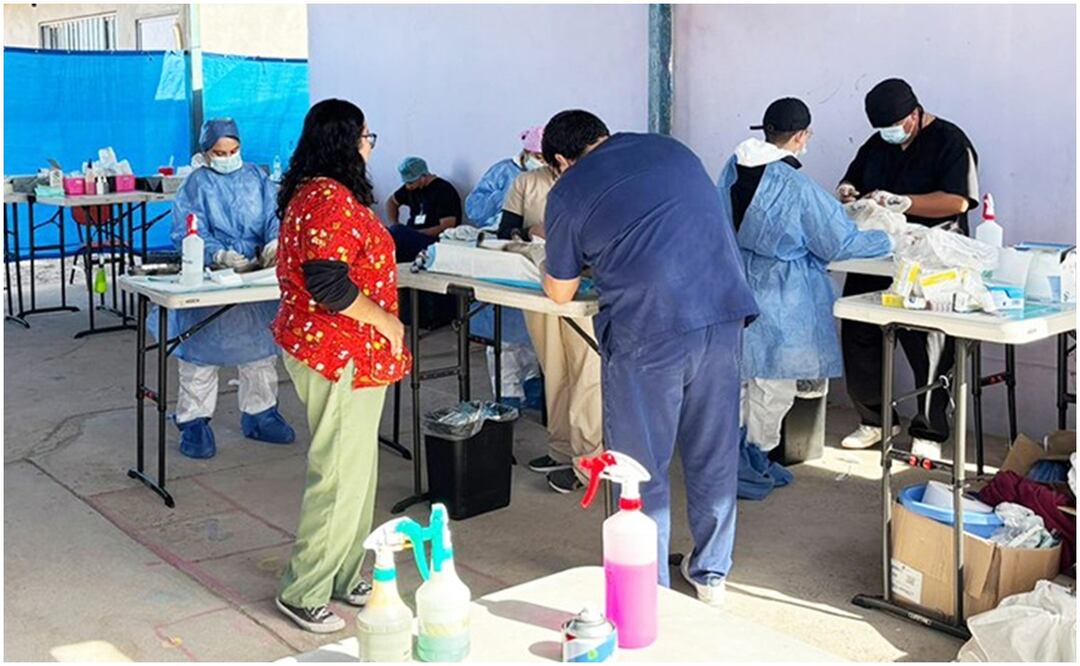 Autoridades de Salud en BCS, confirman 4 muertes por picadura de garrapata en la entidad (6/12/2024). Foto: Especial