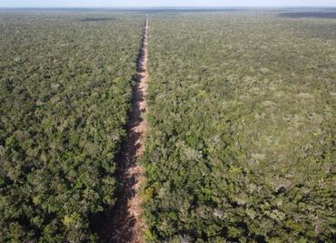Denuncian ante Profepa apertura de nuevo camino que conecta al Tramo 5 del Tren Maya; señalan impacto ambiental