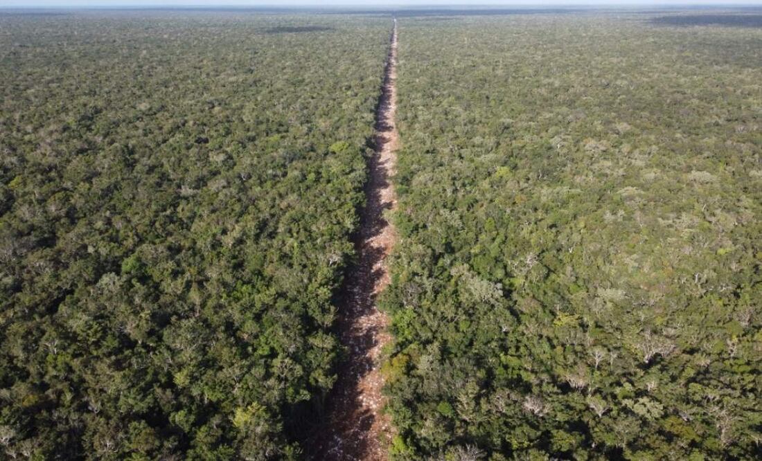 Denuncian ante la Profepa la apertura de un nuevo camino que conecta al Tramo 5 del Tren Maya (16/04/2025). Foto: Cortesía "Sélvame del Tren"