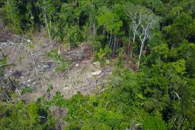 Captan con drones a tribu aislada en selva de Brasil