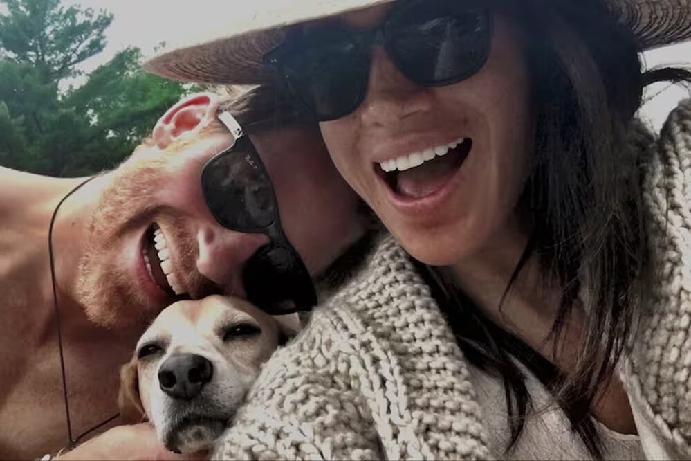 Los duques de Sussex, Harry y Meghan, tienen tres perritos: Pula, Guy y Mia. FOTO: CAPTURA