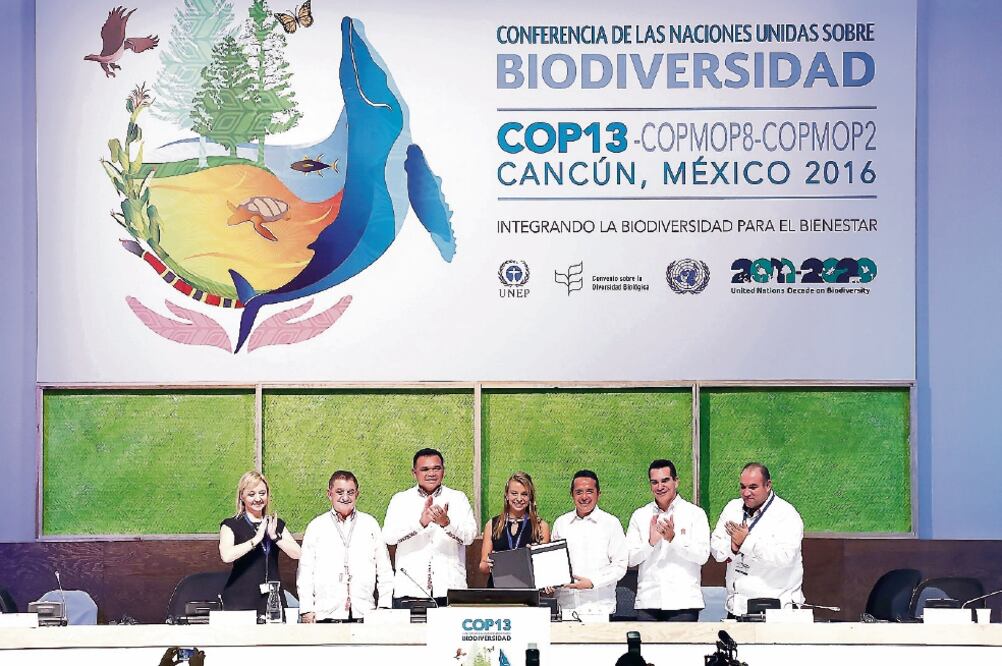 En el acuerdo firmado en el marco de la COP13 participaron los gobiernos de Yucatán, Campeche y Quintana Roo, así como 71 empresarios (ARCHIVO. EL UNIVERSAL)