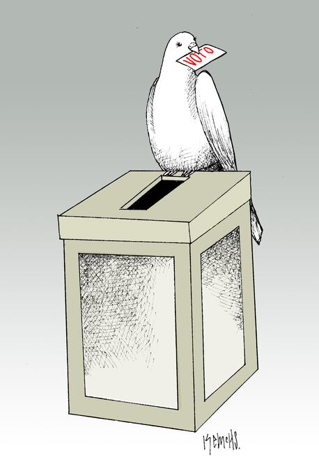 Cartón de KEMCHS