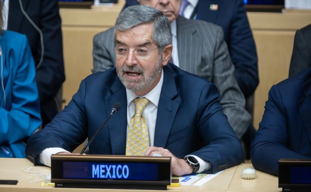 Canciller Juan Ramón de la Fuente en la reunión de ministros de Relaciones Exteriores del G20 este jueves 25 de septiembre de 2025. Foto: Especial