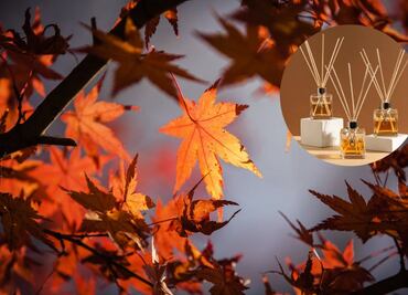 El truco para que tu casa huela a otoño con solo 5 ingredientes