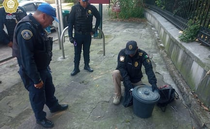 Serpiente causa terror en Bosque de Chapultepec; fue rescatada por elementos de la Secretaría de Seguridad Ciudadana
