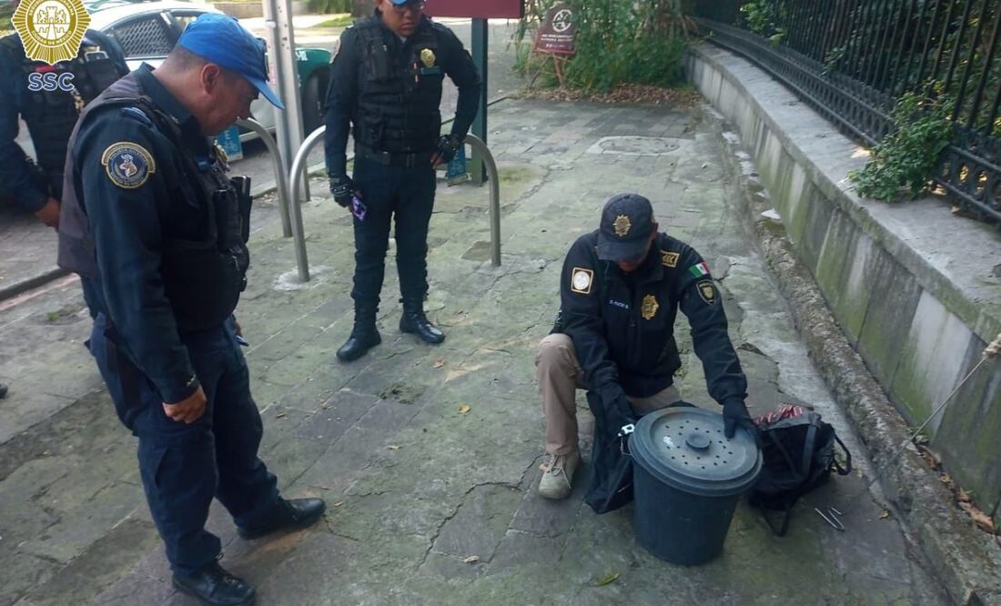 Rescatan serpiente cascabel del Bosque de Chapultepec. Foto: Especial