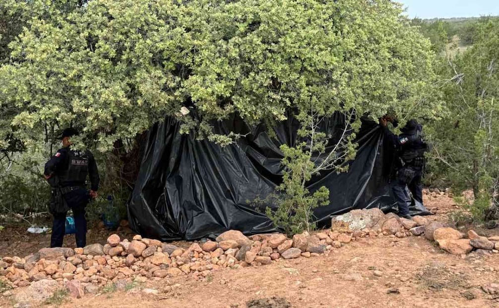 Aseguran tres campamentos de presuntos criminales en Chihuahua; hallan víveres y un panel solar.
Foto: Especial.