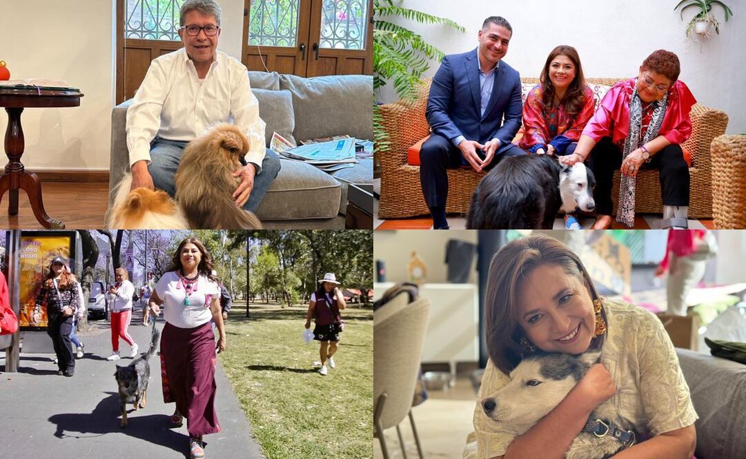 Políticos presumen a sus lomitos. Fotos: Tomadas de las cuentas de X de @XochitlGalvez, @RicardoMonrealA, @ErnestinaGodoy_ y @ClaraBrugadaM