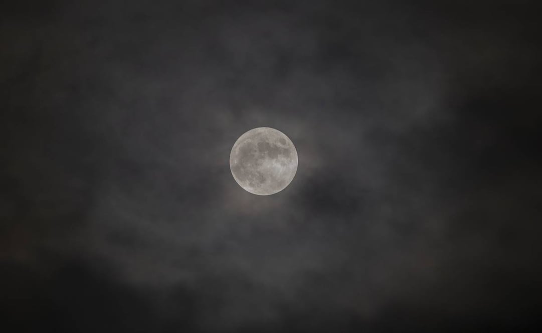 Foto: Eliseo Trigo/EFE