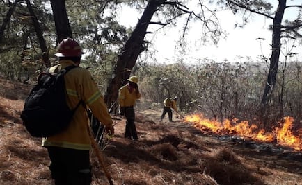 Activan alerta atmosférica en Jalostotitlán, Jalisco, por incendio