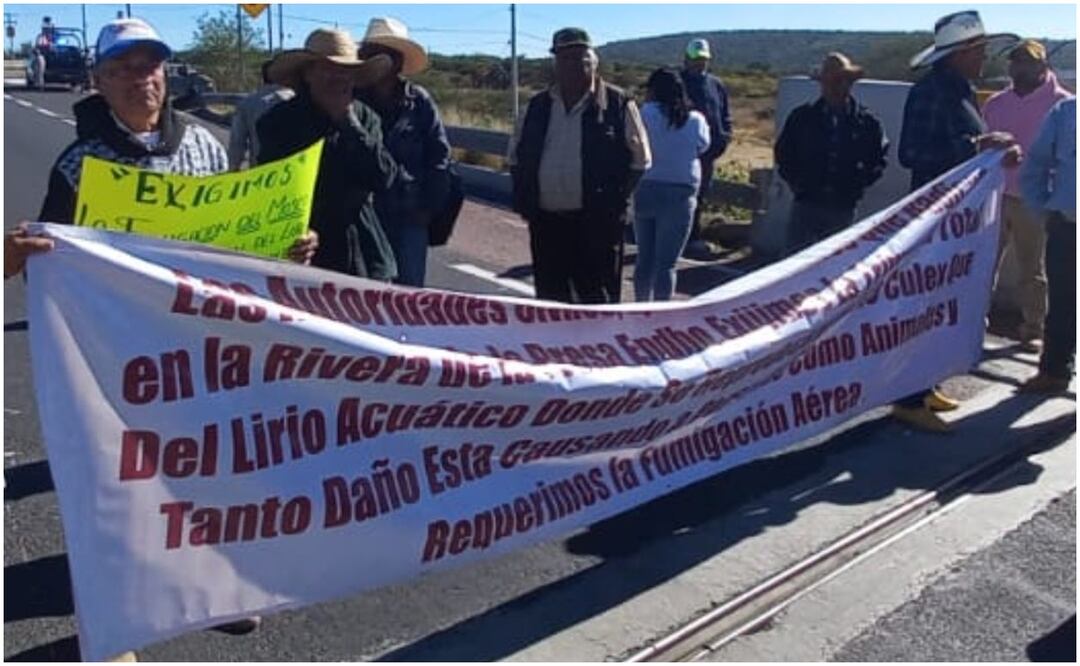 Bloquean autopista Arco Norte para exigir la fumigación del mosco Culex de la presa Endhó en Hidalgo (26/11/2024). Foto: Especial