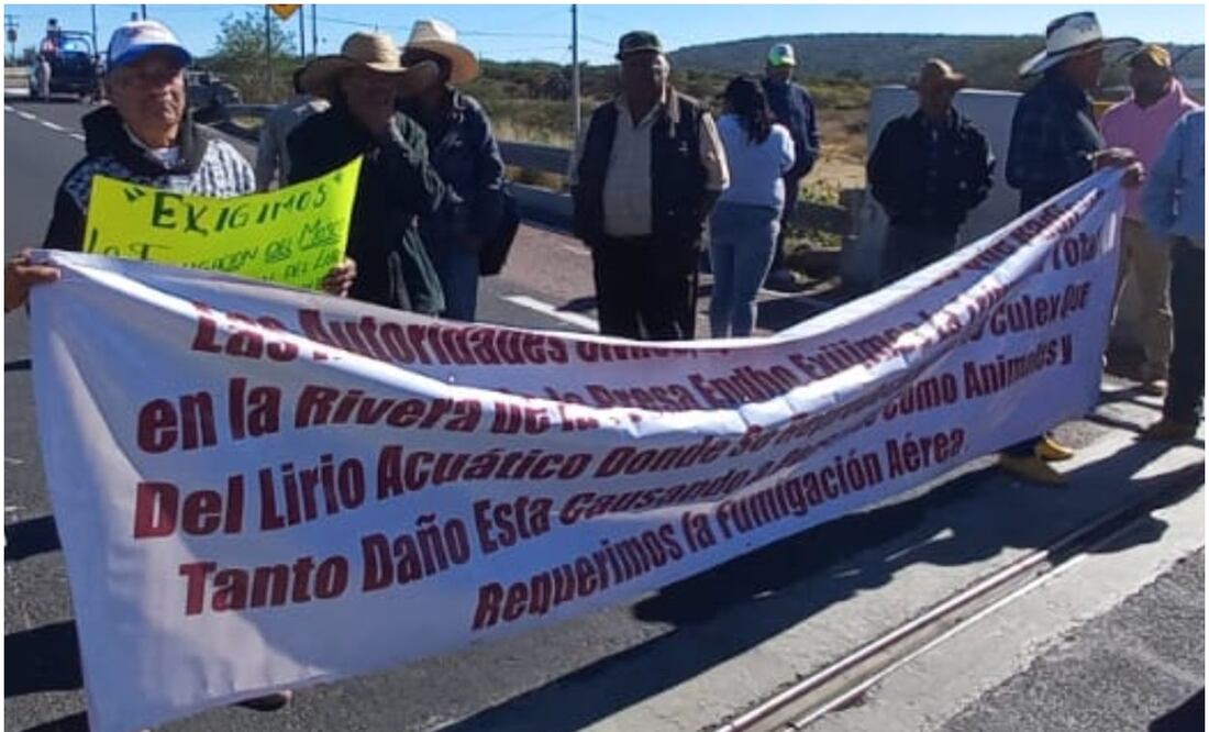Bloquean autopista Arco Norte para exigir la fumigación del mosco Culex de la presa Endhó en Hidalgo (26/11/2024). Foto: Especial