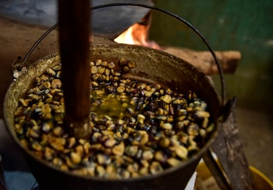 Maíz y nixtamal en Santiago de Pinos, Jalisco