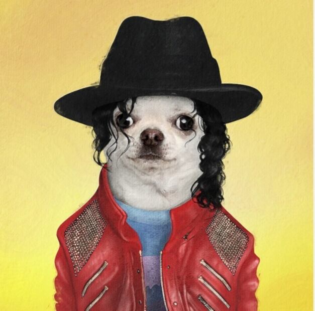 Disfrazan a mascotas de personajes de la cultura pop y se vuelve viral