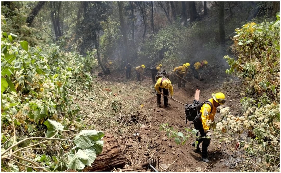 Incendio forestal en el Nevado de Toluca. Foto: Especial