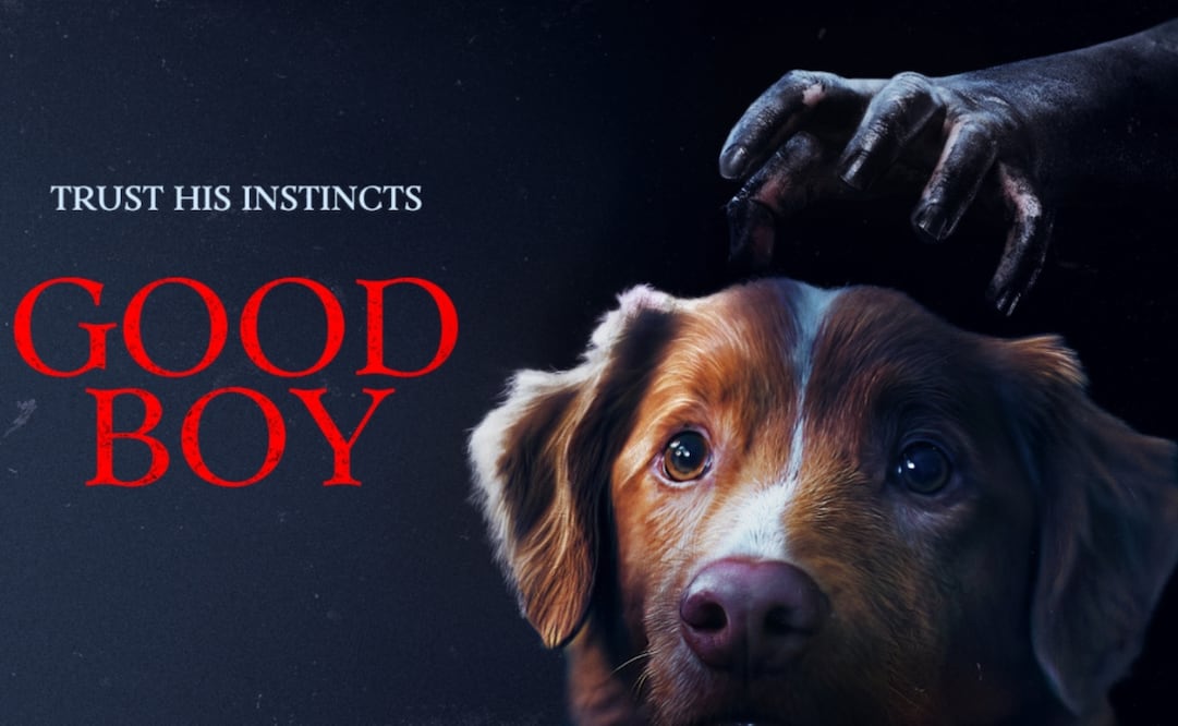 Indy sorprendió al mundo entero al ganar una nominación en los Astra Film Awards 2026. Foto: IMDb