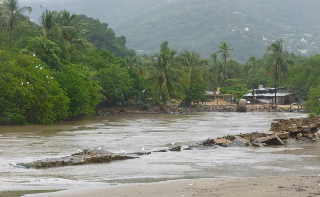 Imagen ilustrativa. Foto: Archivo/EL UNIVERSAL