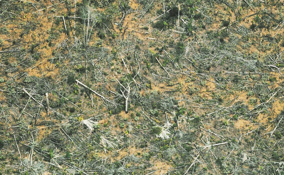 Una imagen aérea de una zona deforestada en la Amazonía, en el estado de Rondonia. De acuerdo con cifras oficiales, la deforestación está en niveles no vistos desde hace 12 años. Foto: Carl de Souza. AFP