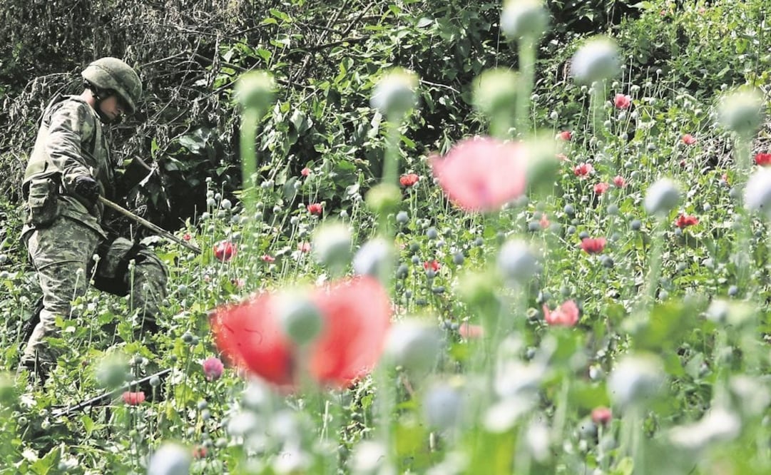 Foto: Archivo EL UNIVERSAL