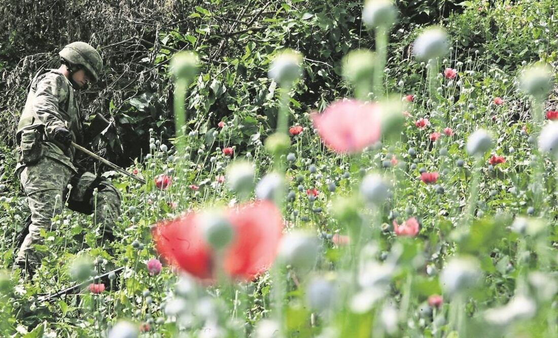 Foto: Archivo EL UNIVERSAL