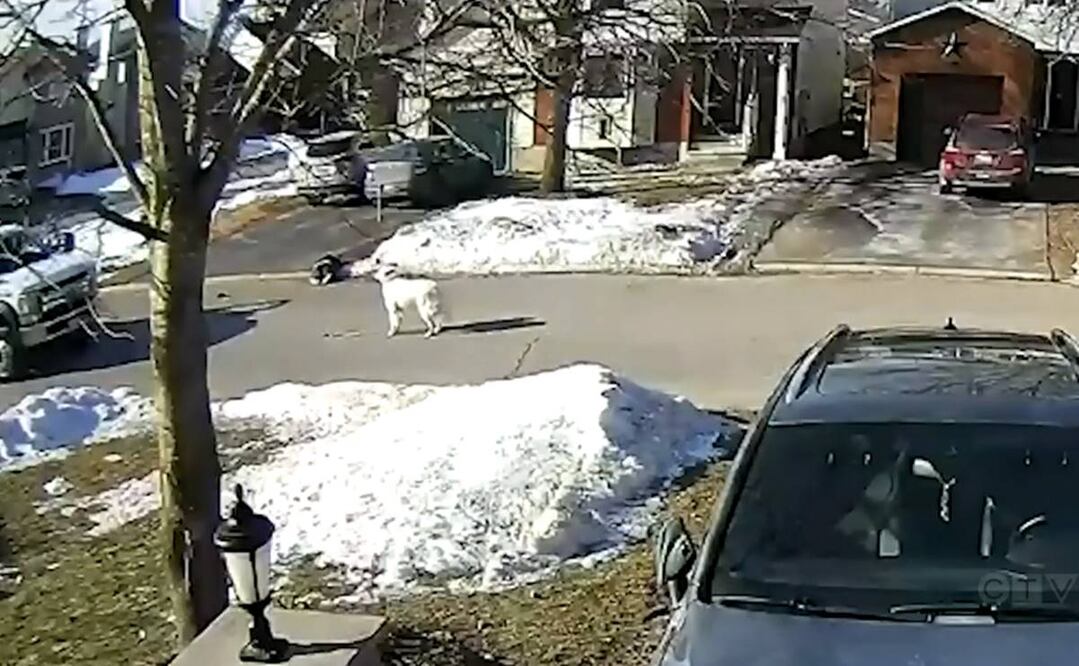 Foto: Tomada del video