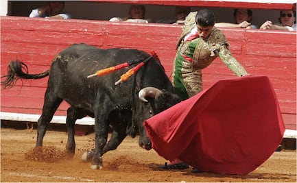 Corte de Colombia avala ley que prohíbe corridas de toros; asegura que medida no viola su Constitución