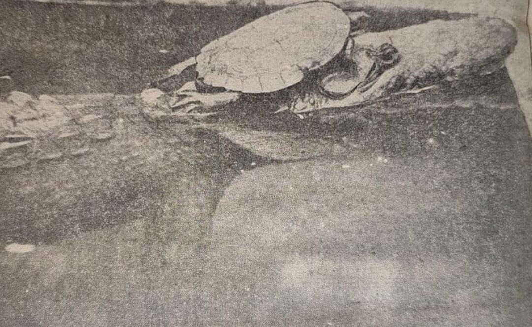 Foto: Hemeroteca EL UNIVERSAL