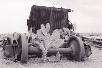 Los Olvidados. Poética de los Ferrocarriles