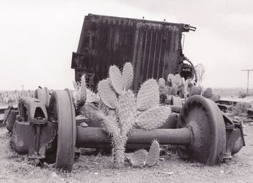 Los Olvidados. Poética de los Ferrocarriles
