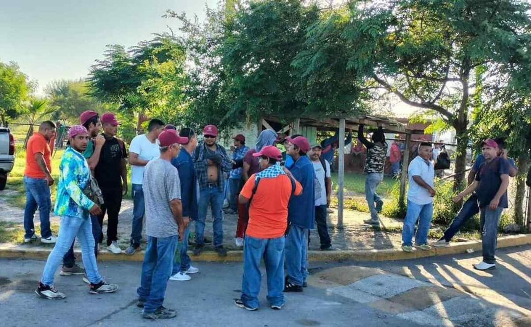 Los trabajadores manifestaron que es necesaria la fumigación a fin de evitar que no sólo ellos, sino las familias que habitan en la zona, contraigan alguna enfermedad. Foto: Especial