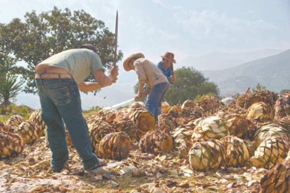 El Foco. Cadena de oración por "El Chapo"