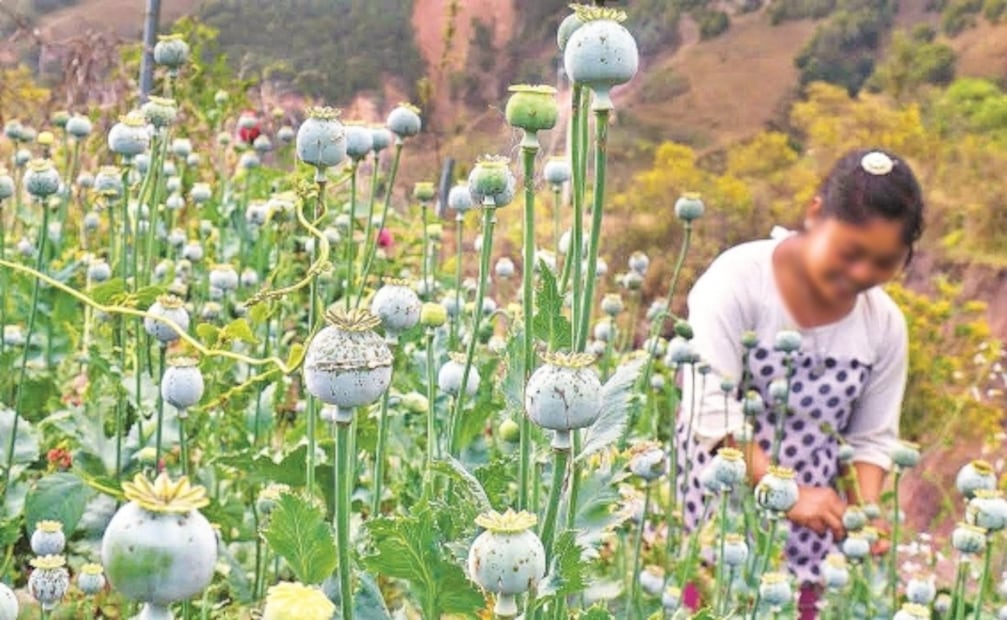 El Foco. México for sale: ahora siguen las embajadas