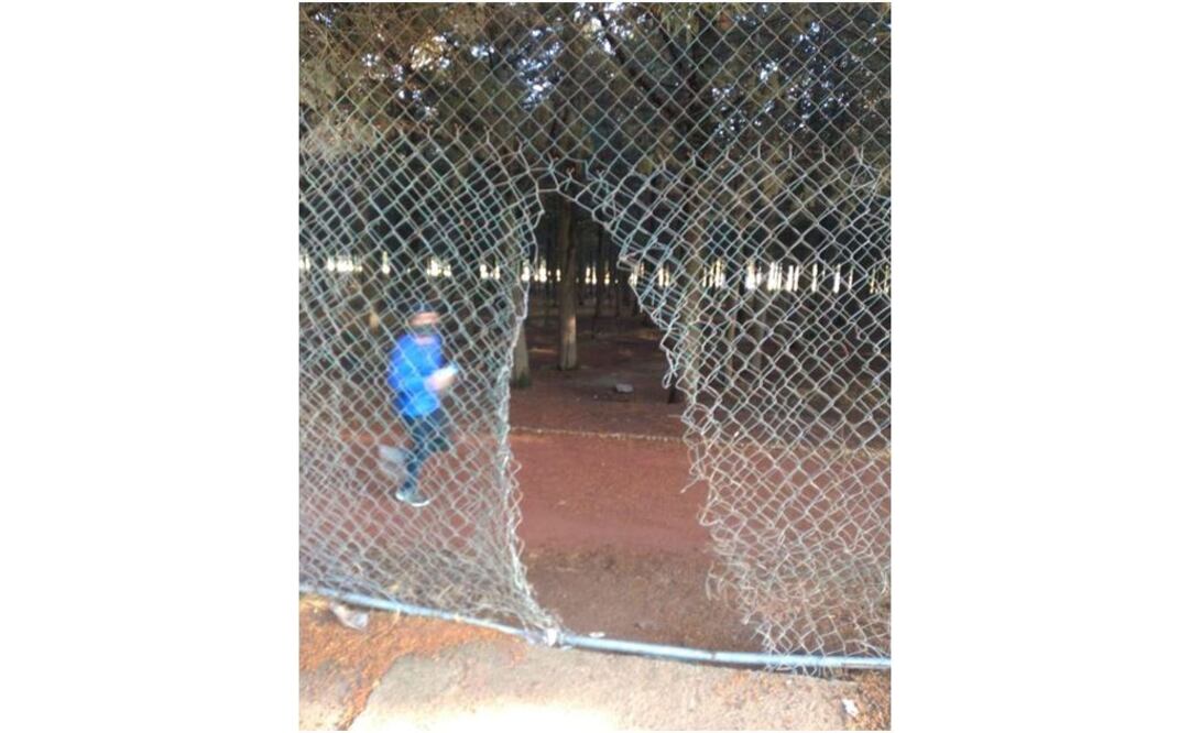 Corredores, ciclistas y familias cuden al parque sin las mínimas medidas de sanidad correspondientes. Foto: ESPECIAL