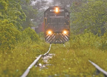 Denuncian irregularidades en reparto discrecional de 450 mdp por expropiación de terrenos para tramo 4 del Tren Maya