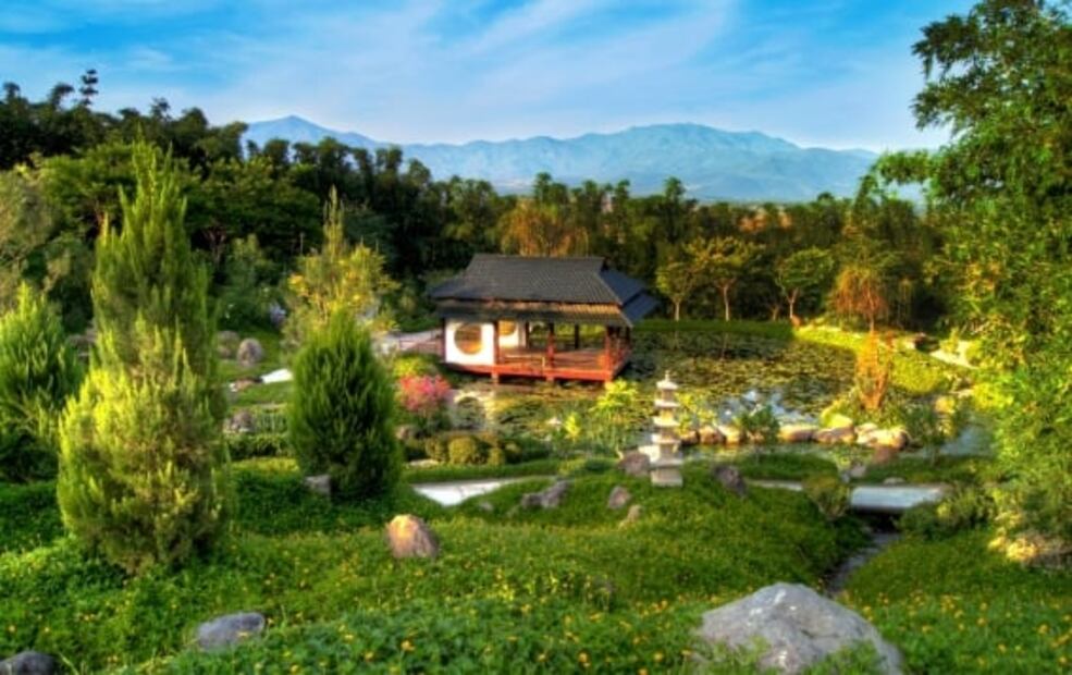 Jardines de México abre por tiempo limitado: 10 cosas qué hacer en tu visita