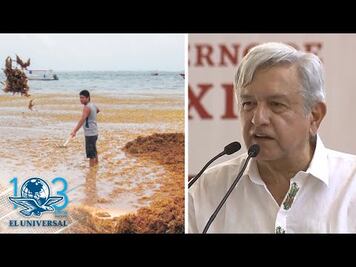 Minimiza AMLO problema de sargazo; gobierno de Q Roo dice que recogen mil toneladas diarias