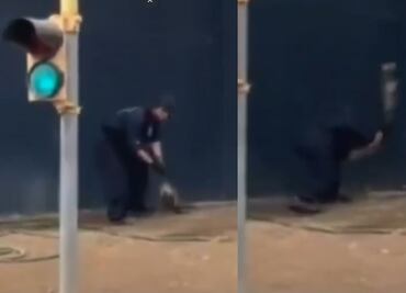 Cae sujeto que azotó a un tlacuache hasta la muerte en Nuevo León; puede enfrentar pena de hasta 9 años